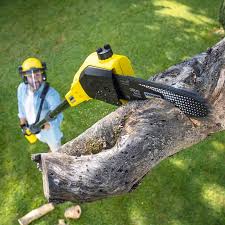 Best Soil Testing and Treatment  in North Ridgeville, OH