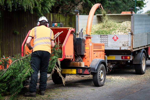 Lawn Maintenance Plans in North Ridgeville, OH