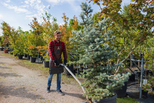 Best Lawn Watering Services  in North Ridgeville, OH